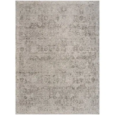 Dkny Pure Shades Grey Vintage Indoor Rug In Gray