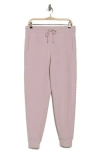 Dkny Rhinestone Embellished Fleece Joggers In Allure