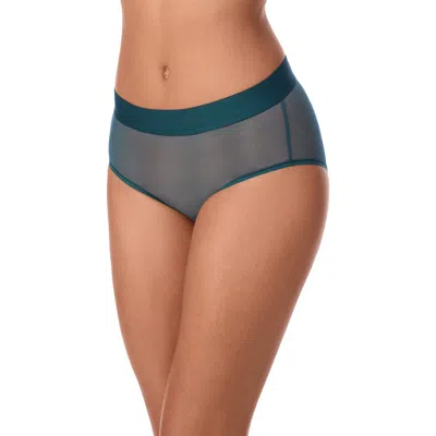 Dkny Sheer Mesh Briefs In Blue