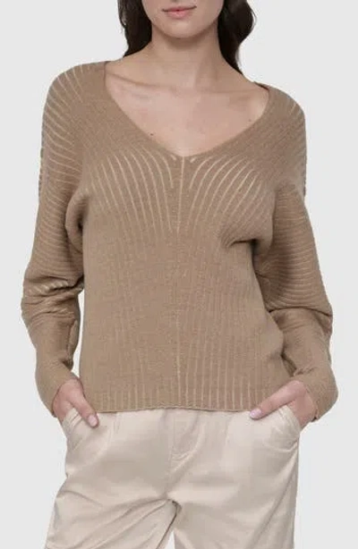 Dkny Transfer Rib V-neck Sweater In Taupe,chino Khaki