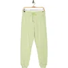 Dkny Varsity Embroidered Taper Sweatpants