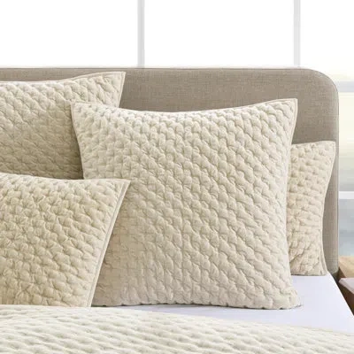 Dkny Velvet Quilt 26in X 26in Euro Sham Birch In White