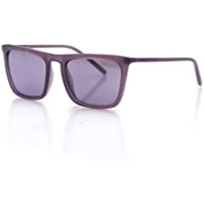 Dkny Women's 53mm Purple Sunglasses