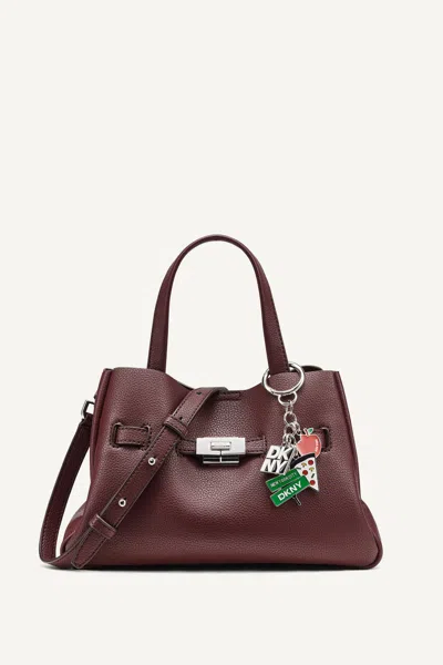 Dkny Women's Bryar Small Satchel In Burgundy