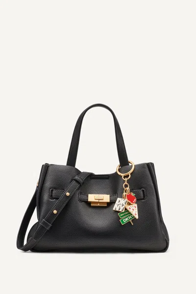 Dkny Women's Bryar Small Satchel In Black