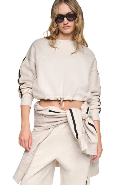 Dkny Women's Cropped Striped Sweatshirt In Neutral
