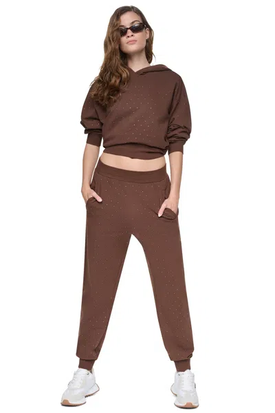 Dkny Women's High-rise Rhinestone Jogger Pants In Chestnut/light Bronze