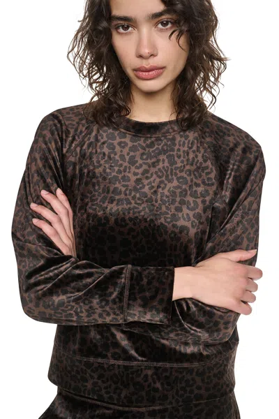 Dkny Women's Velour Animal Print Pullover In Brown