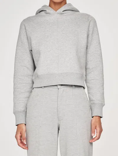 Dl1961 - Women's Shrunken Hoodie Top In Heather Grey In Gray