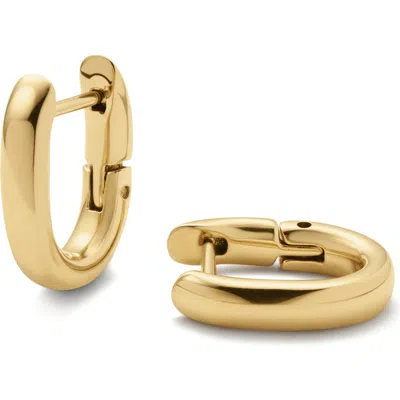 D.louise Oval Huggie Hoop Earrings In Gold