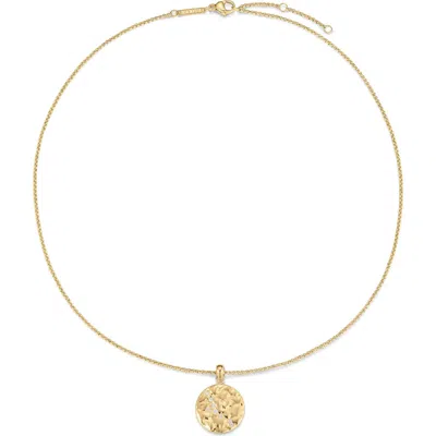 D.louise Zodiac Talisman Necklace In Gold