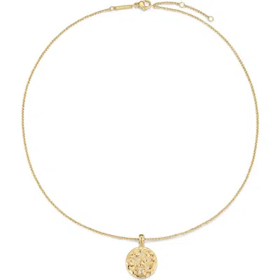 D.louise Zodiac Talisman Necklace In Gold