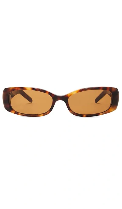 Dmy By Dmy Billy Sunglasses In Brown