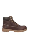Docksteps Man Ankle Boots Chocolate Brown Size 9 Leather In Brown
