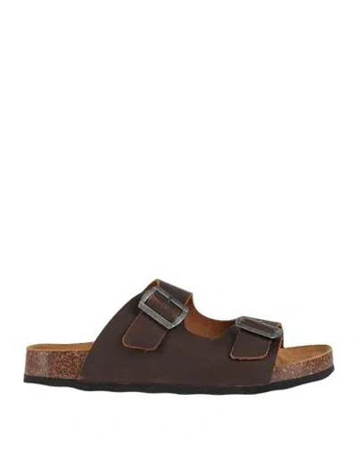 Docksteps Man Sandals Dark Brown Size 9 Leather