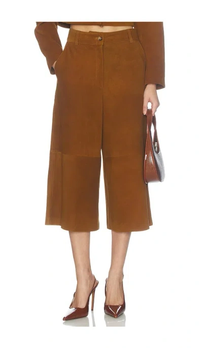 Dodiee Amiya Pants In Brown