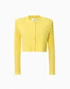 Dodiee Lila Bolero With Pointelle-knit Sleeves In Yellow In Yellow