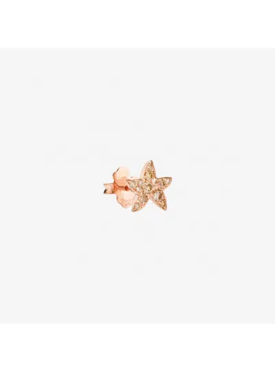 Dodo Earrings 1/2 Paio  Stellina Dhb5001_stars_dbr9r In Pink