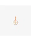 Dodo Earrings  ♪ In Gold