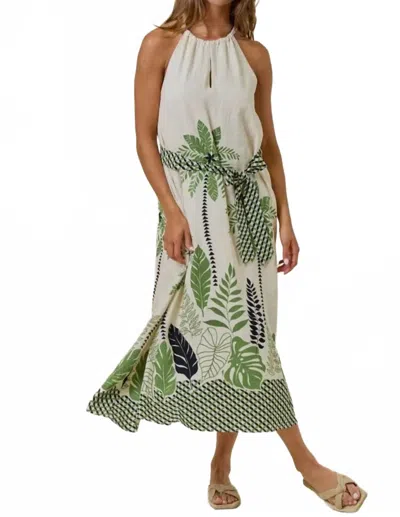 Doe & Rae Women's Maxi Dress In Palm Print In Green