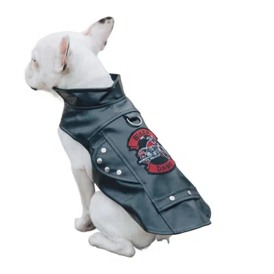 Doggie Design Biker Dawg Motorcycle Jacket In Black