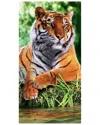 Dohler Set Of 2 Tiger Resting Beach Towels In Multi