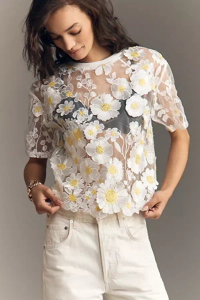 Dolan Left Coast Flower Appliqué Sheer Tee In Multi