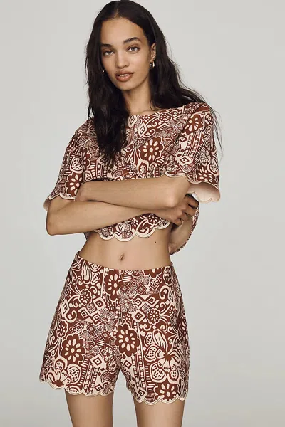 Dolan Left Coast Knit Scallop Shorts In Brown