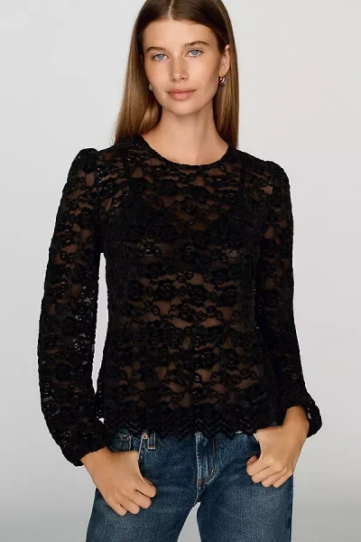 Dolan Left Coast Sheer Lace Peplum Top In Black