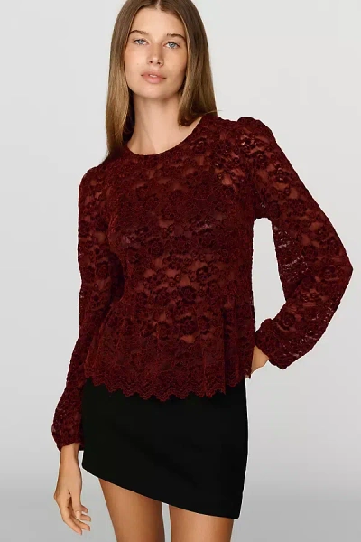 Dolan Left Coast Sheer Lace Peplum Top In Multi