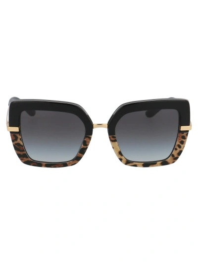 Dolce &amp; Gabbana Eyewear 0dg4373 Sunglasses In 32448g Top Black On Print Leo/black