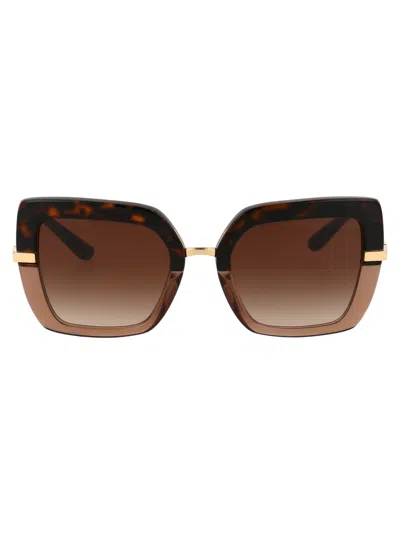 Dolce &amp; Gabbana Eyewear 0dg4373 Sunglasses In 325613 Havana On Transparent Brown
