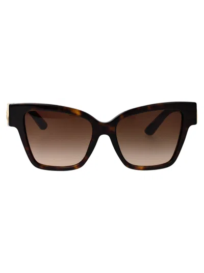 Dolce &amp; Gabbana Eyewear 0dg4470 Sunglasses In 502/13 Havana