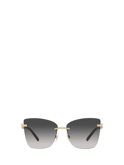 Dolce &amp; Gabbana Eyewear Dg2289 Gold / Brown Sunglasses
