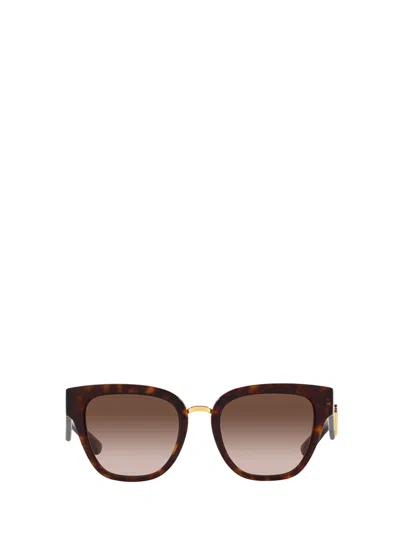 Dolce &amp; Gabbana Eyewear Dg4437 Havana Sunglasses