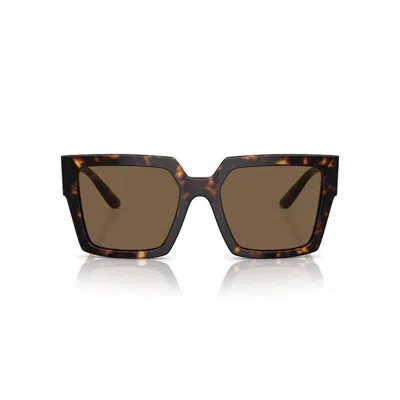 Dolce &amp; Gabbana Eyewear Dg4446-b Sunglasses In Brown