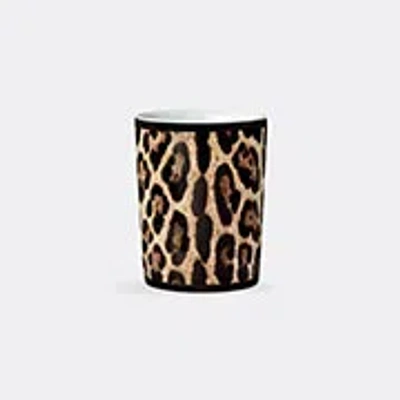 Dolce&gabbana Casa Glassware Multicolor Uni