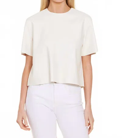 Dolce Cabo Ainsley Short Sleeve Top In Cream In White