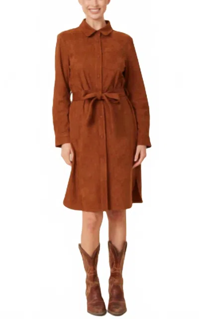 Dolce Cabo Faux Suede Belted Dress In Rust Brown