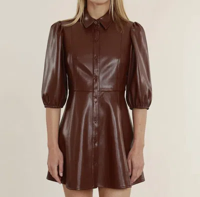 Dolce Cabo Flare Dress In Mahogany In Multi