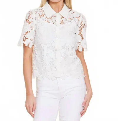 Dolce Cabo Lace Collared Shirt In White