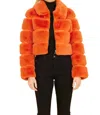 Shop Dolce Cabo Paneled Cropped Jacket In Orange