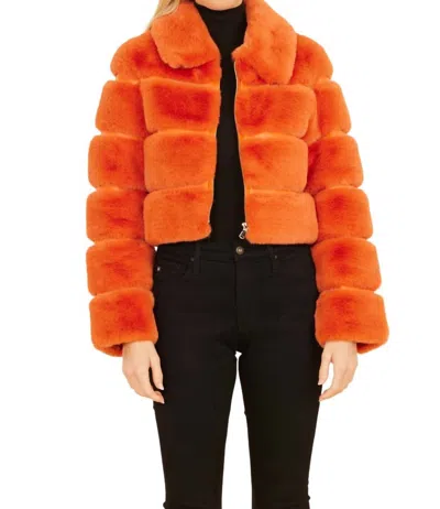 Dolce Cabo Paneled Cropped Jacket In Orange