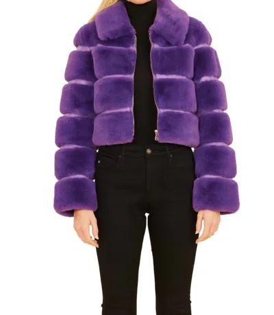 Dolce Cabo Paneled Cropped Jacket In Purple