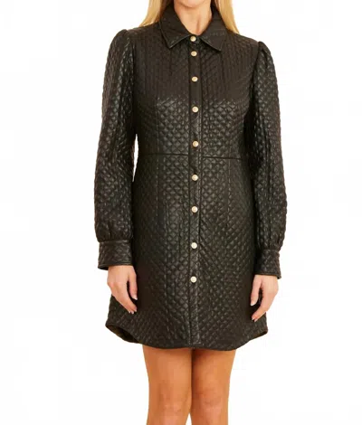 Dolce Cabo Quilted Faux Leather Tailored Mini Dress In Black