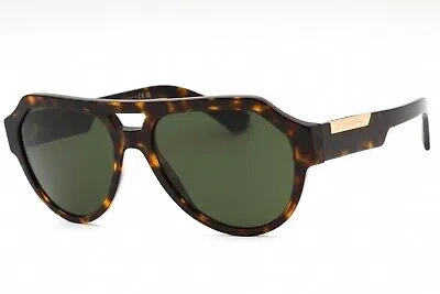 Pre-owned Dolce & Gabbana 0dg4466-502/71 Dark Tortoise Sunglasses In Green