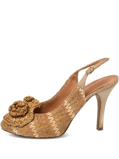 Pre-owned Dolce & Gabbana 100mm Floral-appliqué Pumps