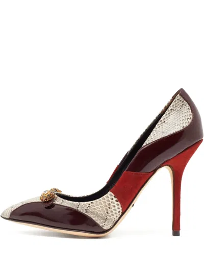 Pre-owned Dolce & Gabbana 105mm Snakeskin-panel Embellished Pumps