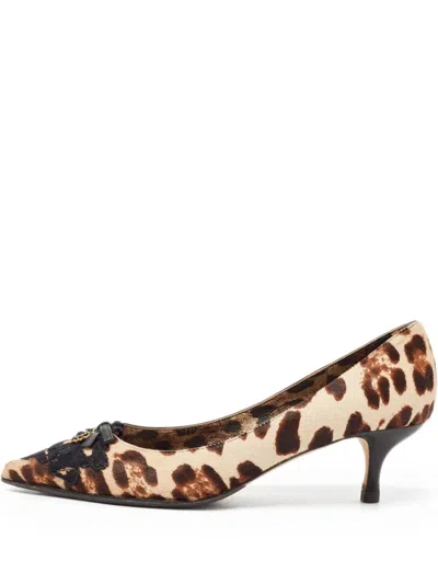 Pre-owned Dolce & Gabbana 110mm Leopard-print Pumps