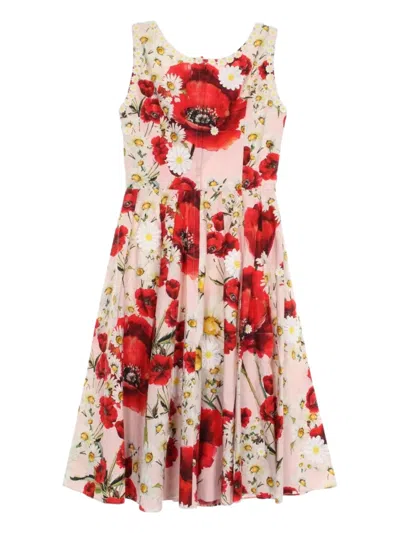 Pre-owned Dolce & Gabbana 2010s Floral-print Dress In Pink